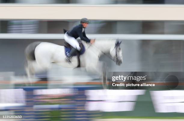 September 2021, Lower Saxony, Hagen A.T.W.: Equestrian sport: Show jumping, CSI3*. The show jumper Frederick Troschke rides Kaddee van de Knuffel....