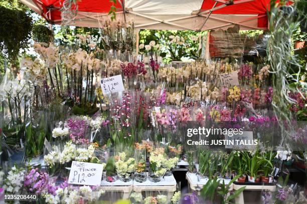 Selection of orchids for sale are seen on a stall at Columbia Road flower market in east London on September 12, 2021. The weekly flower market takes...