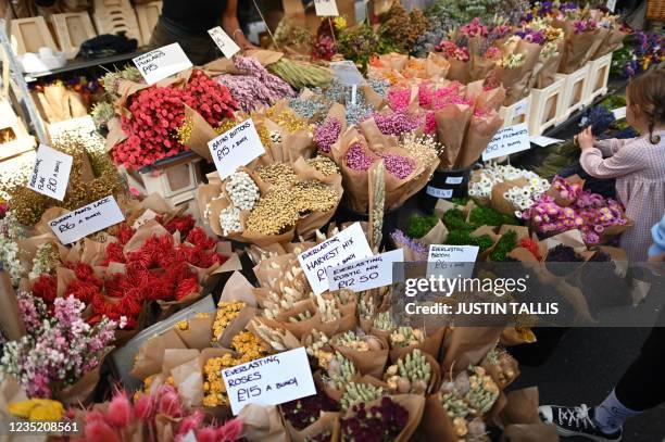 Selection of flowers and plants for sale are seen on a stall at Columbia Road flower market in east London on September 12, 2021. The weekly flower...