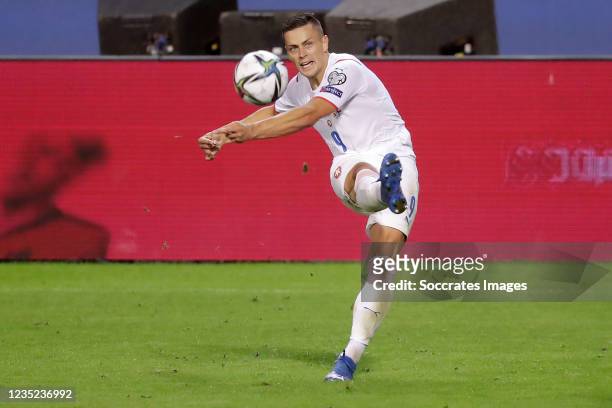 Tomas Holes of Czech Republic during the World Cup Qualifier match between Belgium v Czech Republic at the Koning Boudewijn Stadion on September 5,...