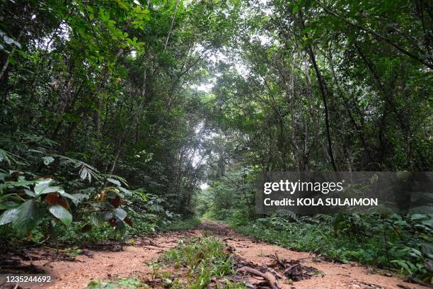 General view of Oban Biosphere Reserve, in Calabar, Cross River, Nigeria where UNESCO Chief Audrey Azoulay visits during a tour of the Reserve on...