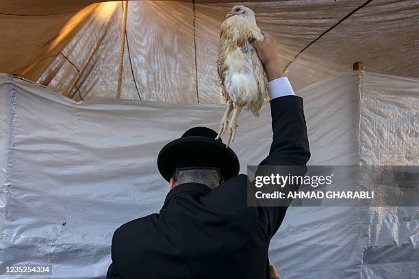 Kaparot Ritual 582 The Kapparot Jewish Atonement Ceremony Stock Photos, High-Res ...