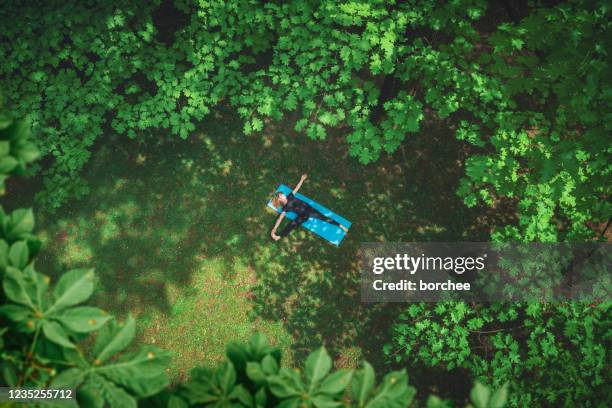 woman doing yoga in the park - aerial forest stock pictures, royalty-free photos & images