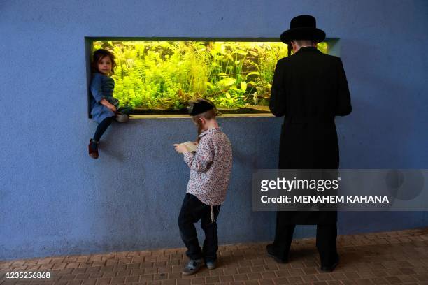 An ultra-Orthodox Jewish family pray in front of a fish aquarium at a zoo in the ultra-Orthodox Israeli city of Bnei Brak near Tel Aviv on September...