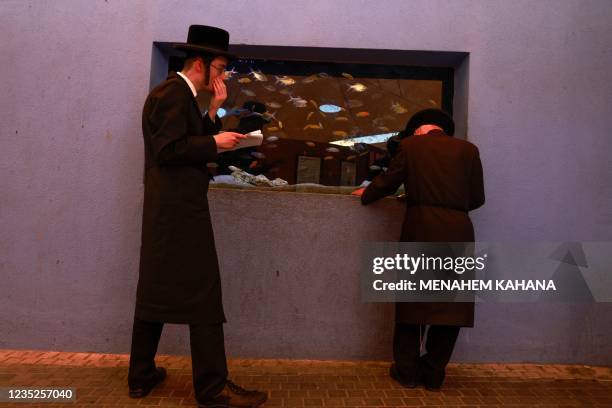 Ultra-Orthodox Jewish men pray in front of a fish aquarium at a zoo in the ultra-Orthodox Israeli city of Bnei Brak near Tel Aviv on September 14 as...