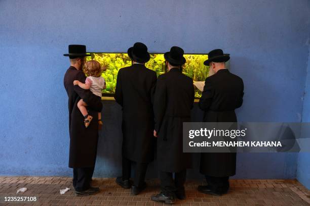 Ultra-Orthodox Jewish men pray in front of a fish aquarium at a zoo in the ultra-Orthodox Israeli city of Bnei Brak near Tel Aviv on September 14 as...