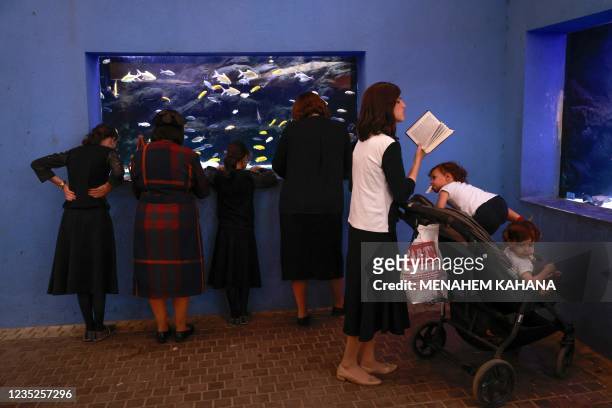 Ultra-Orthodox Jewish women pray in front of a fish aquarium at a zoo in the ultra-Orthodox Israeli city of Bnei Brak near Tel Aviv on September 14...