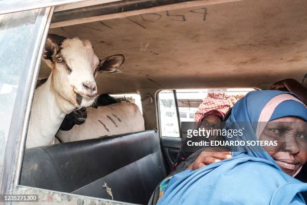 Women sit next to goats inside a car during a livestock market in the city of Hargeisa, Somaliland, on September 15, 2021.