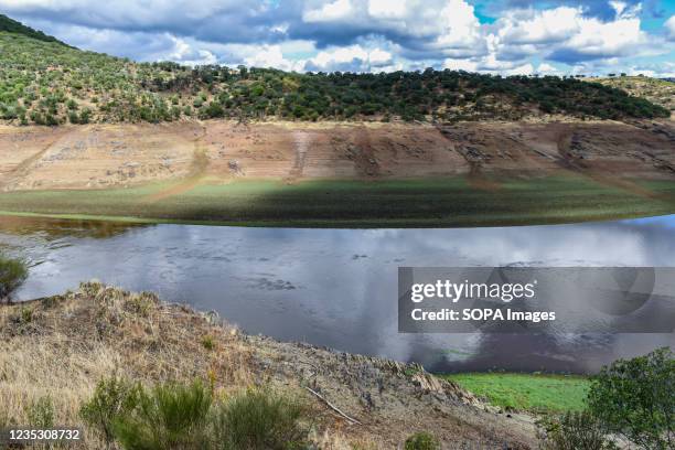 12 José María Oriol Stock Photos, High-Res Pictures, and Images - Getty ...
