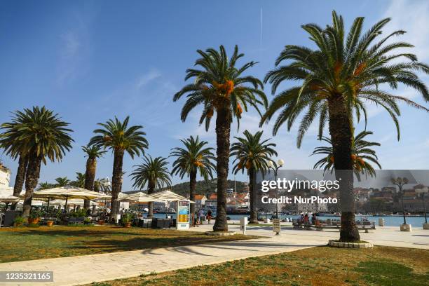 Palm trees at a promenade in Trogir, Croatia on September 14, 2021.