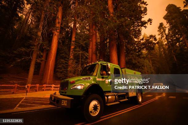 Firefighting vehicles drive past giant sequoia trees among smoke filled skies in the "Lost Grove" along Generals Highway north of Red Fir during a...