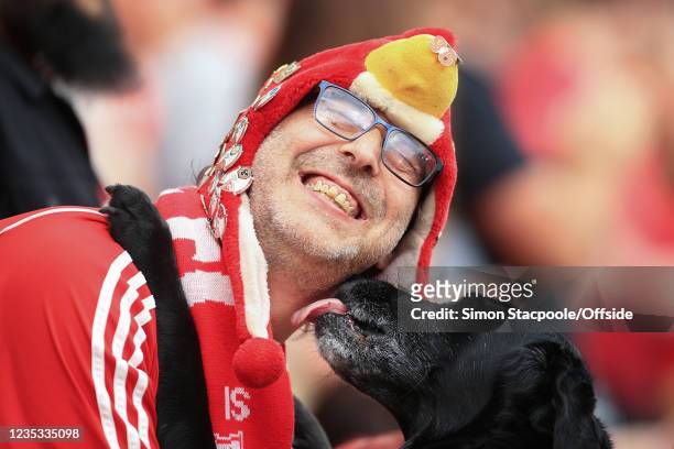 Liverpool fan enjoys a lick from a guide dog during the Premier League match between Liverpool and Crystal Palace at Anfield on September 18, 2021 in...