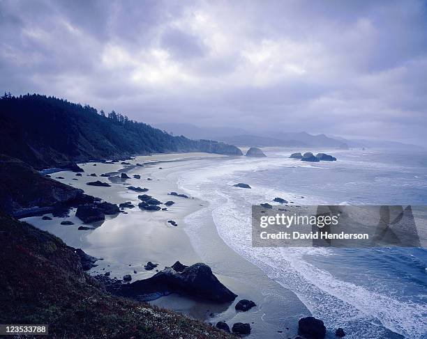 cannon beach, ecola state park, oregon, usa - oregon coast stock-fotos und bilder