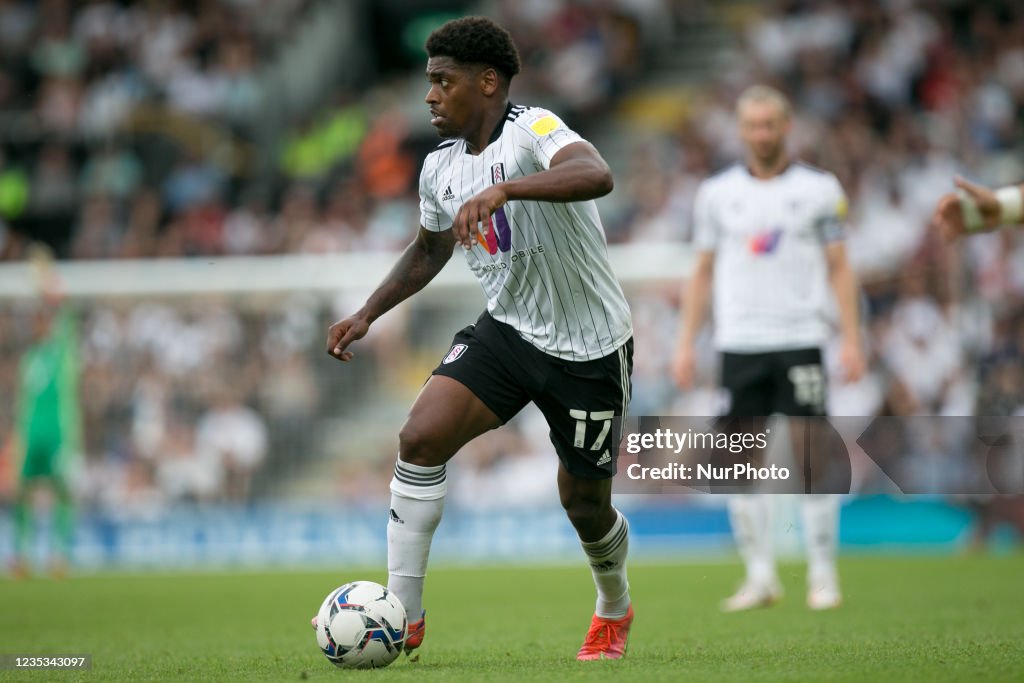 Fulham v Reading - EFL Championship