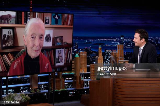 Episode 1520 -- Pictured: Primatologist Jane Goodall during an interview with host Jimmy Fallon on Wednesday, September 22, 2021 --