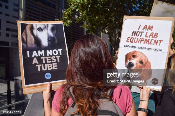 2,650 Animal Testing Photos and Premium High Res Pictures - Getty Images 2,650 Animal Testing Photos and Premium High Res Pictures - Getty Images