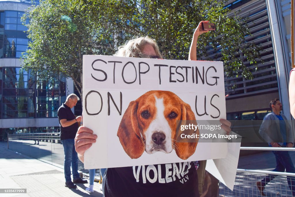 A protester holds a placard calling for an end to testing on...