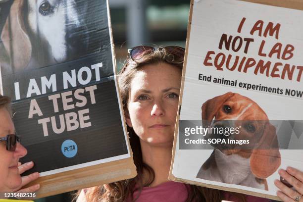 13,244 Animal Cruelty Photos and Premium High Res Pictures - Getty Images