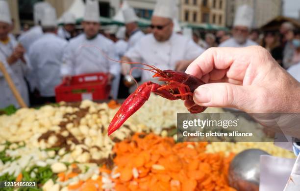 September 2021, Saxony, Leipzig: Chefs from the International Culinary Arts Association of Leipzig stand around a pan in the market square while a...