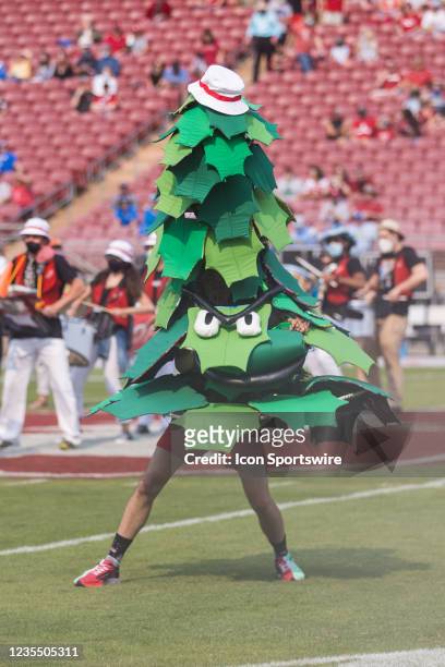 The Stanford tree mascot dances before the college football game between the UCLA Bruins and Stanford Cardinal on September 25, 2021 at Stanford...