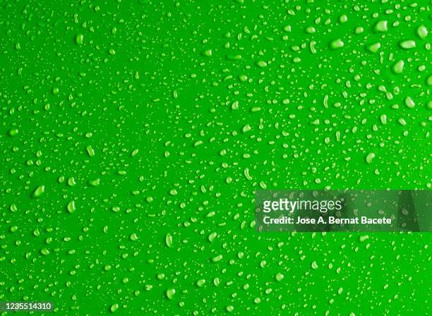 full frame of the textures formed by the bubbles and drops of water on a green background. - raindrop bildbanksfoton och bilder