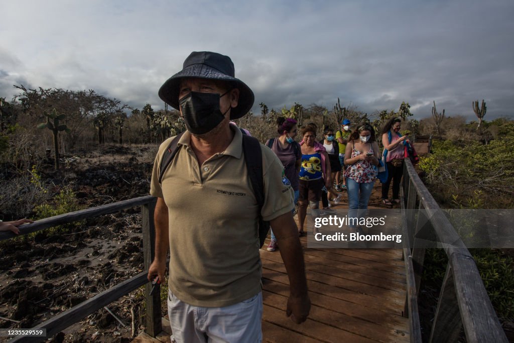 Galapagos Lures Tourists Back After Successful Vaccination Campaign