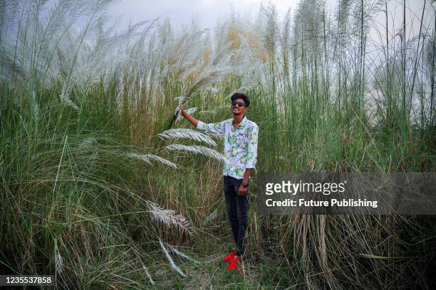 40 Kans Grass Photos and Premium High Res Pictures - Getty Images