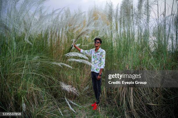 40 Kans Grass Photos and Premium High Res Pictures - Getty Images 40 Kans Grass Photos and Premium High Res Pictures - Getty Images