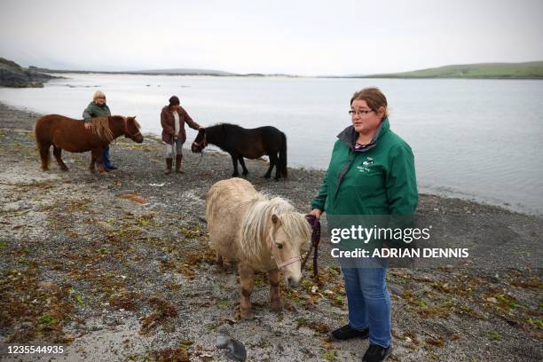 Sheena Anderson, chair of the Pony Breeders of Shetland Association speaks to AFP at Papil, Burra near Lerwick on September 10, 2021. - For hundreds...