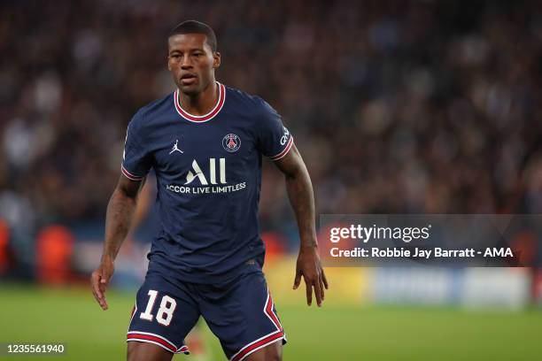 Georginio Wijnaldum of PSG during the UEFA Champions League group A match between Paris Saint-Germain and Manchester City at Parc des Princes on...