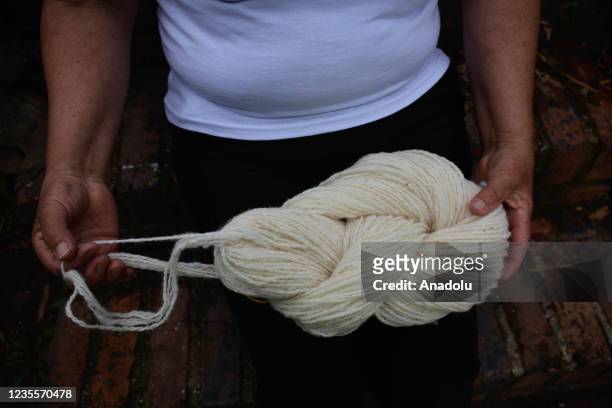 Maria Concepcion, a traditional weaver, holds yarn of processed wool in Nobsa, located approximately 3 hours from Bogota in the department of Boyaca,...