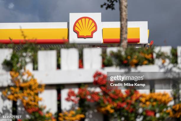 Shell petrol station logo in natural surroundings of red and yellow plants on 29th September 2021 in Birmingham, United Kingdom. Shell Oil Company is...