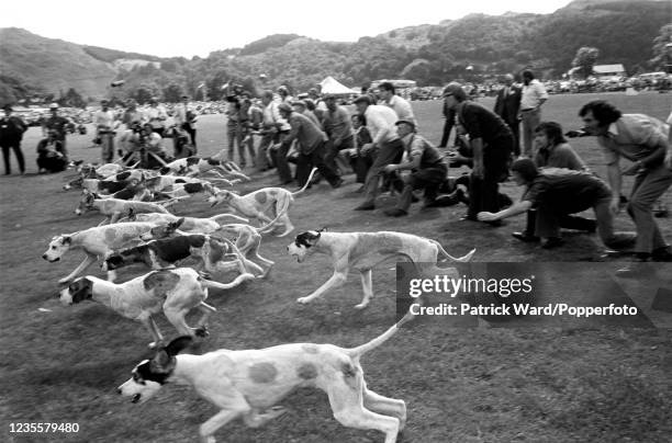 Participants at the start of the hound trailing competition at the Grasmere Sports in the Lake District, circa 1975.