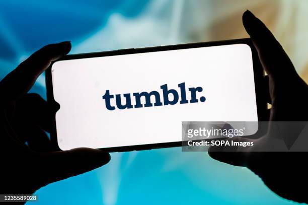 In this photo illustration, a Tumblr logo seen displayed on a smartphone.