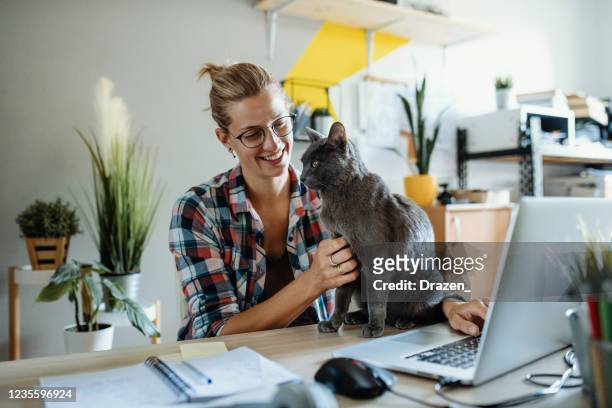 gelukkige vrouw die nieuwe zaken thuis ontwikkelt en haar kat knuffelt - cat laptop stockfoto's en -beelden