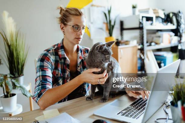 woman working at home and cuddling her cat - russian blue cat stock pictures, royalty-free photos & images