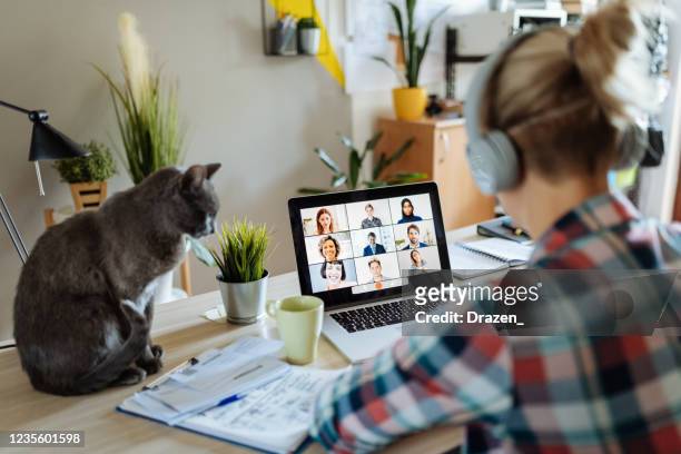 nieuwe realiteit - thuiswerken met huisdieren en kinderen - internet stockfoto's en -beelden