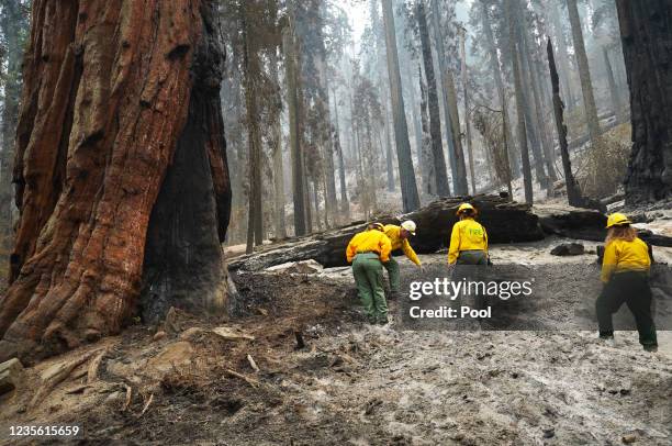 National Park Service public information officers inspect the charred ground around Giant sequoias during a tour of the KNP Complex fire burn area in...