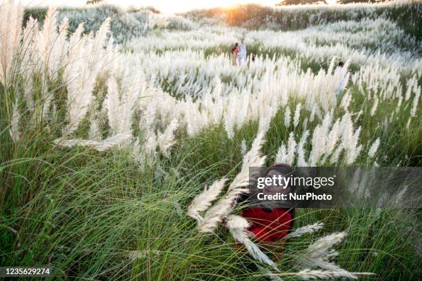 People visit a catkin field in Sarighat on the outskirts of Dhaka, Bangladesh on October 1, 2021