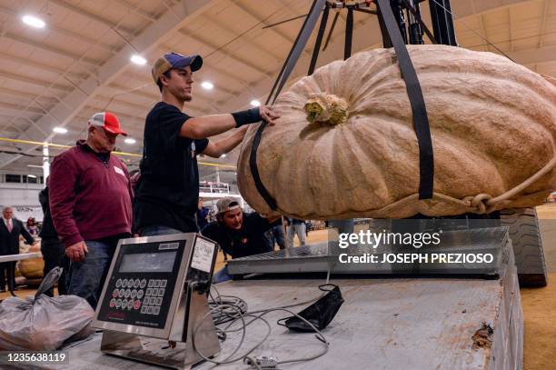 Lift crew works to hoist up a giant pumpkin onto the scale during the New England Giant pumpkin weigh-in at the Topsfield Fair in Topsfield,...