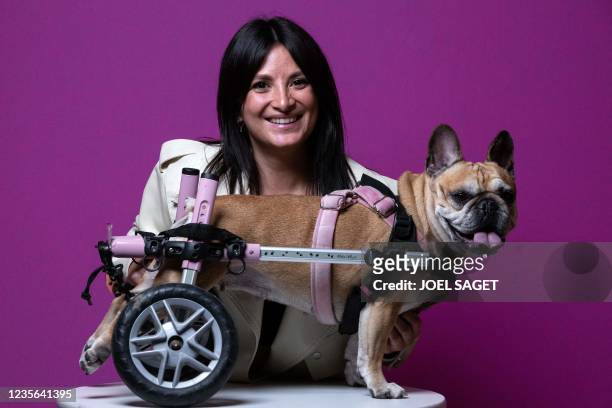 Coralie de Almeda poses with Swan his disabled French bulldog on October 1, 2021 ahead of the Animal Expo Fair which takes place on October 2 and 3...