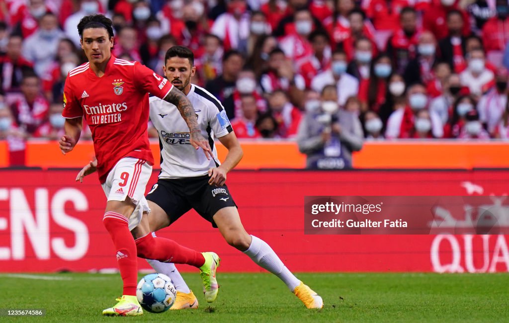 SL Benfica v Portimonense SC - Liga Bwin
