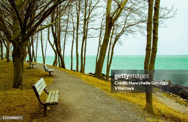 peaceful image of empty benches under trees facing lake ontario - lake ontario stock pictures, royalty-free photos & images