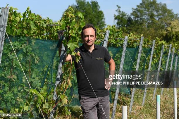 French director of the wine research centre, SICAREX Beaujolais, Bertrand Chatelet poses in a vineyard covered by anti-hail nets in Liergues, region...