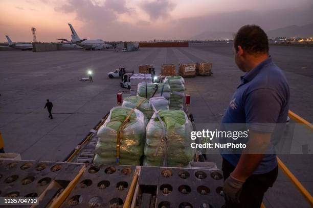 An Iranian official looks on while Irans humanitarian supplies are waiting to transport into an Iranian Qeshm Fars Airlines Boeing 747-200 cargo...