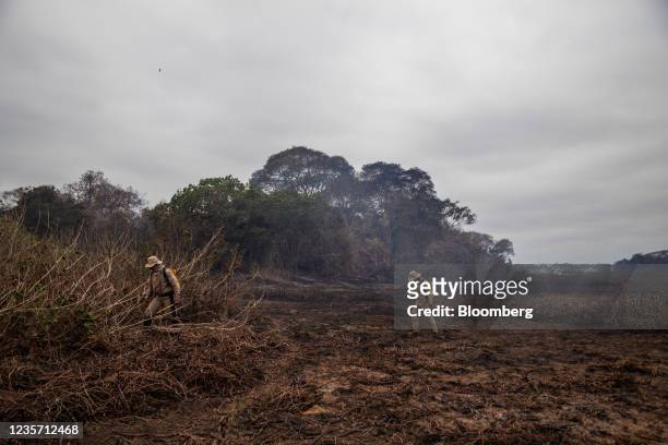 Firefighters work on containing a fire in the Pantanal region near Corumba, Mato Grosso do Sul state, Brazil, on Monday, Oct. 4, 2021. Brazil's...