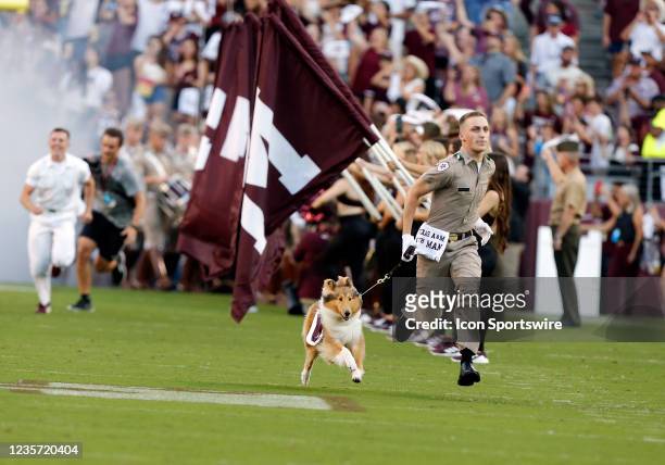 Texas A&M Aggies First Lady Reveille runs on to the field during the game against the Mississippi State Bulldogs on October 02 at Kyle Field in...