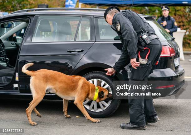 October 2021, Bavaria, Hof: A police service dog handler has his dog check a vehicle for explosives during the "Joint Upper Franconian...