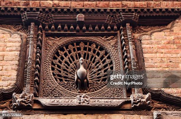 Pecock Window 28 Tole Painting Stock Photos, High-Res Pictures, and Images - Getty Images