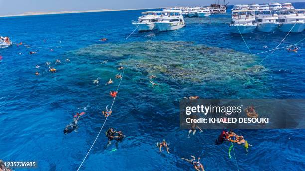 Local and foreign tourists snorkel in the Red Sea waters above a coral reef near Egypt's Red Sea resort city of Sharm el-Sheikh at the southern tip...